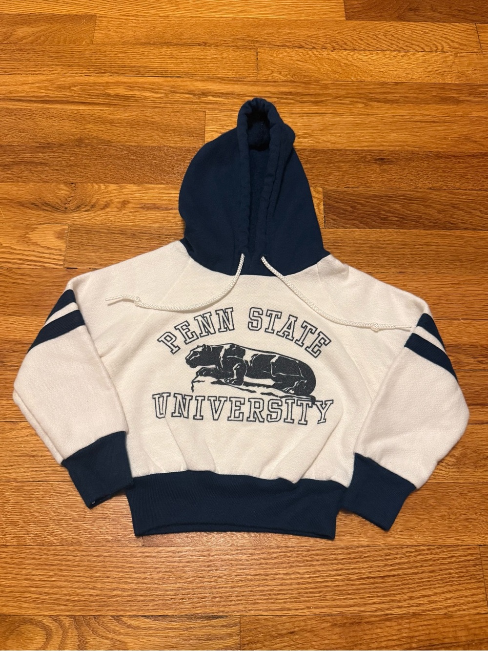 Penn State University Vintage Hoodie Youth Toddler 2t 70s 80s True Vintage